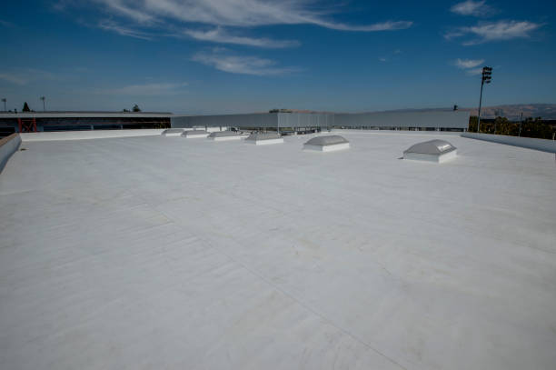 Best Storm Damage Roof Repair  in Shady Hills, FL